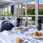 Golden Tulip And