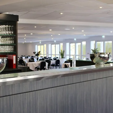 Golden Tulip And